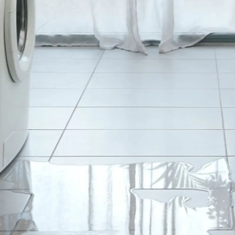 Appliance Leak Cleanup in Auburn, IL