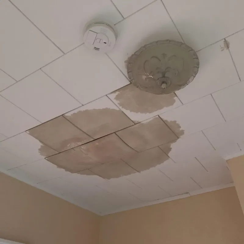 Ceiling Water Damage Repair in Auburn, IL
