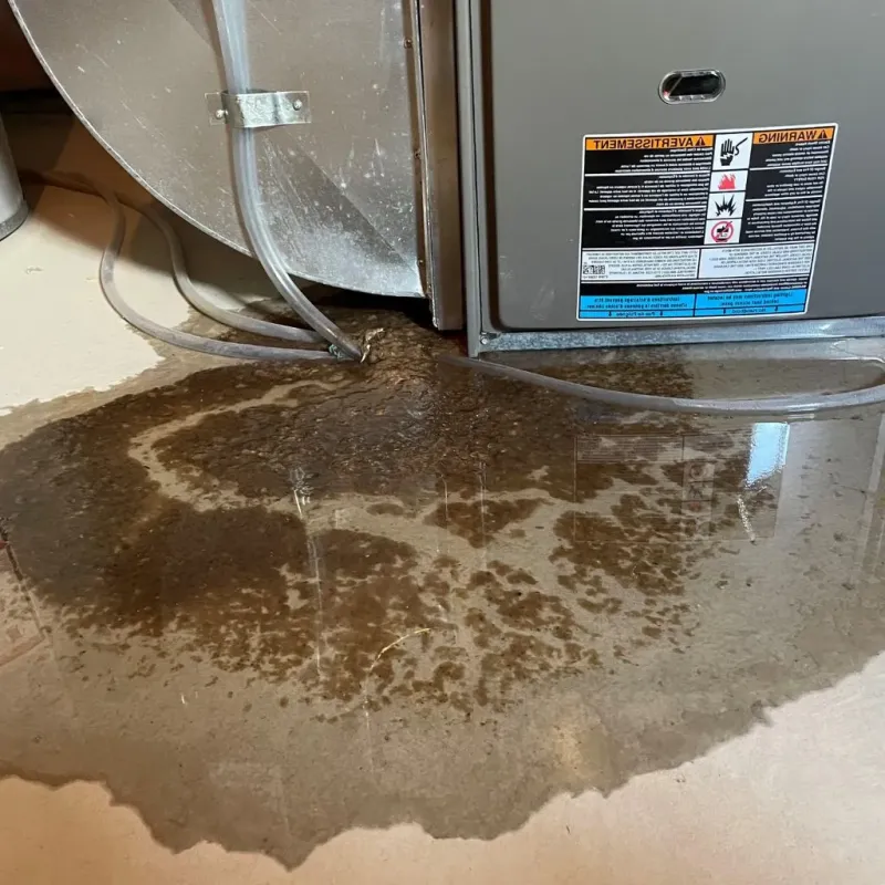 Pipe Burst and Leak Restoration in Auburn, IL