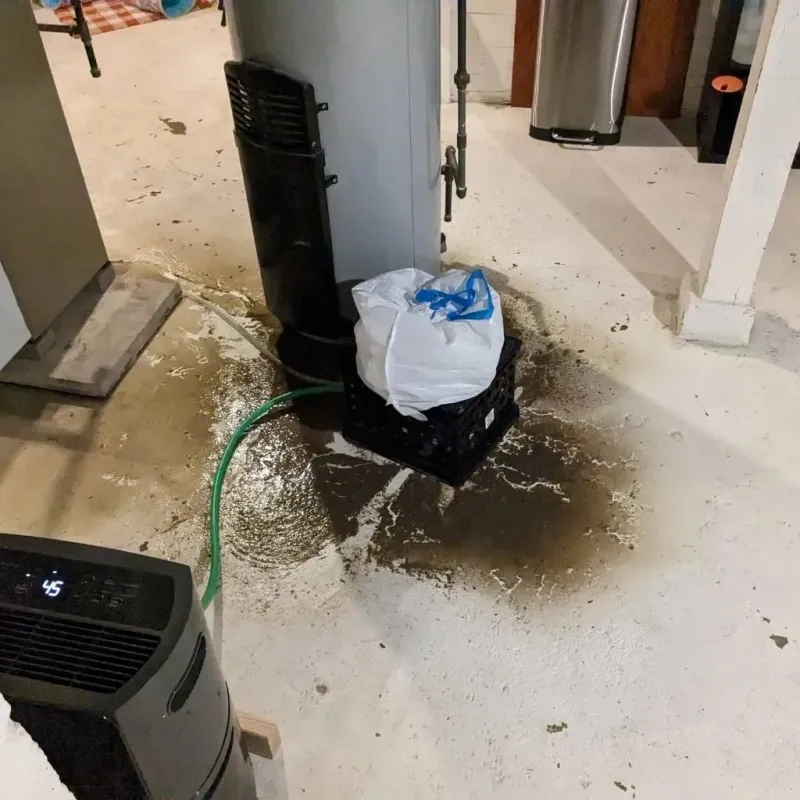Sewage Backup Cleanup Service in Auburn, IL